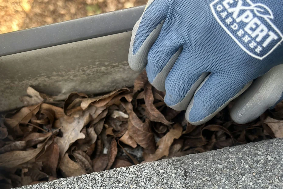 Gutter Cleaning Rocky Mount