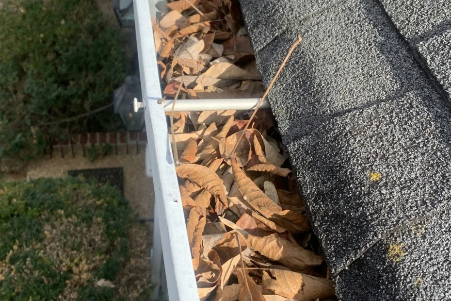 Gutter Cleaning Rocky Mount