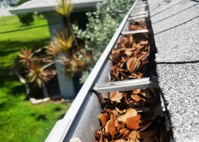 Gutter Cleaning Rocky Mount home page